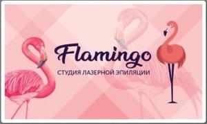 Студия лазерной эпиляции "Фламинго"
