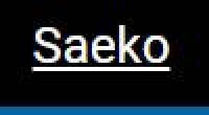 Сервисный центр Saeko