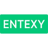 IT компания Entexy.com