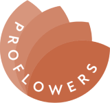 ProFlowers