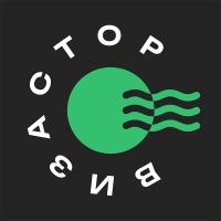 Визастор Визастор