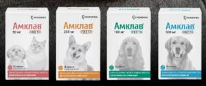 Амклав Вет Антибактериальный препарат широкого спектра действия для кошек и собак